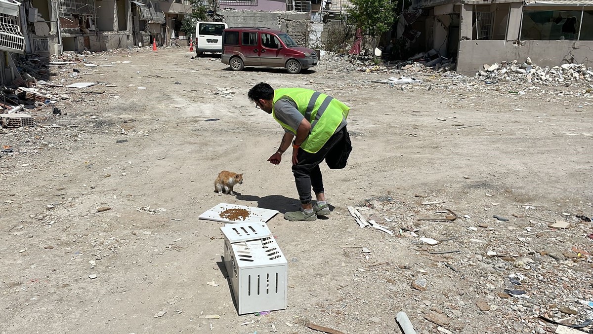 enkazdan-76-gun-sonra-eceviti-canli-olarak-buldular-1