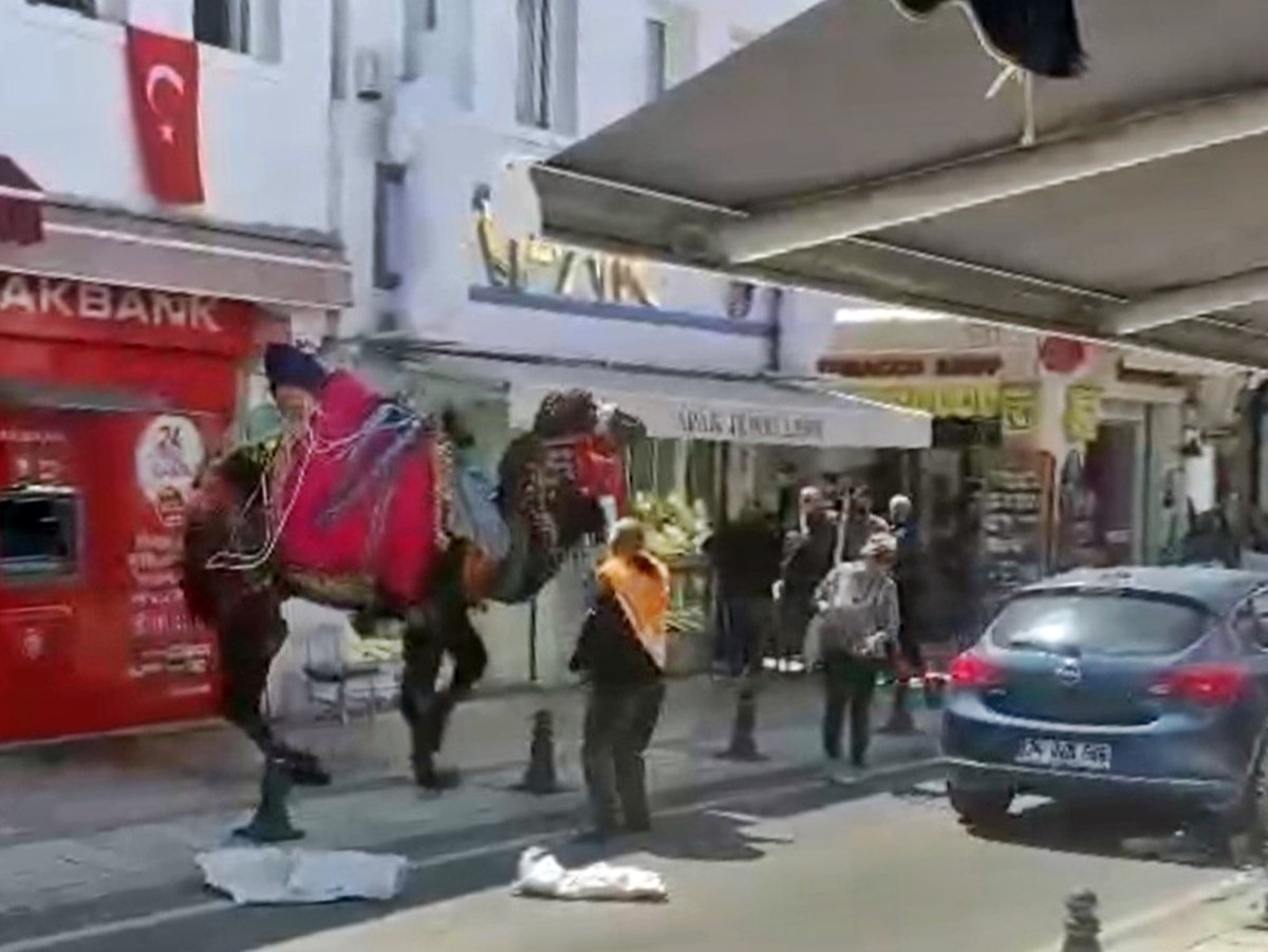 bodrum-deve-panigi-1