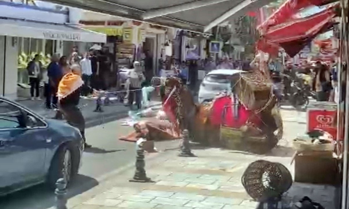 bodrum-deve-panigi-3