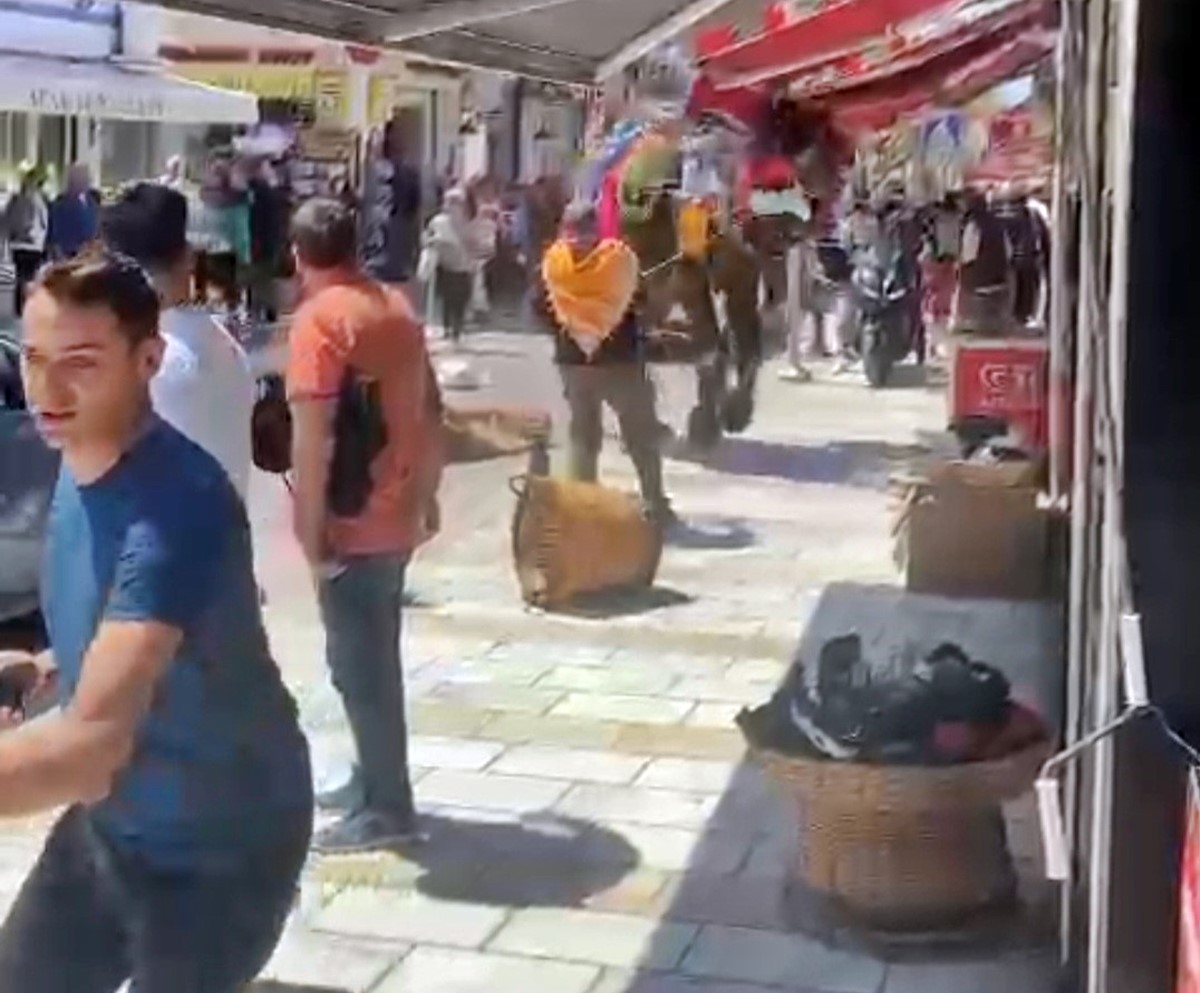 bodrum-deve-panigi-5