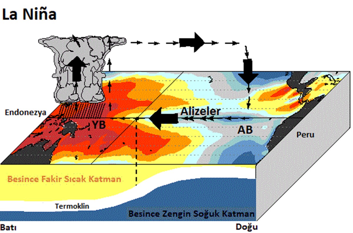 2023/05/03/la-nina-nedir.jpg