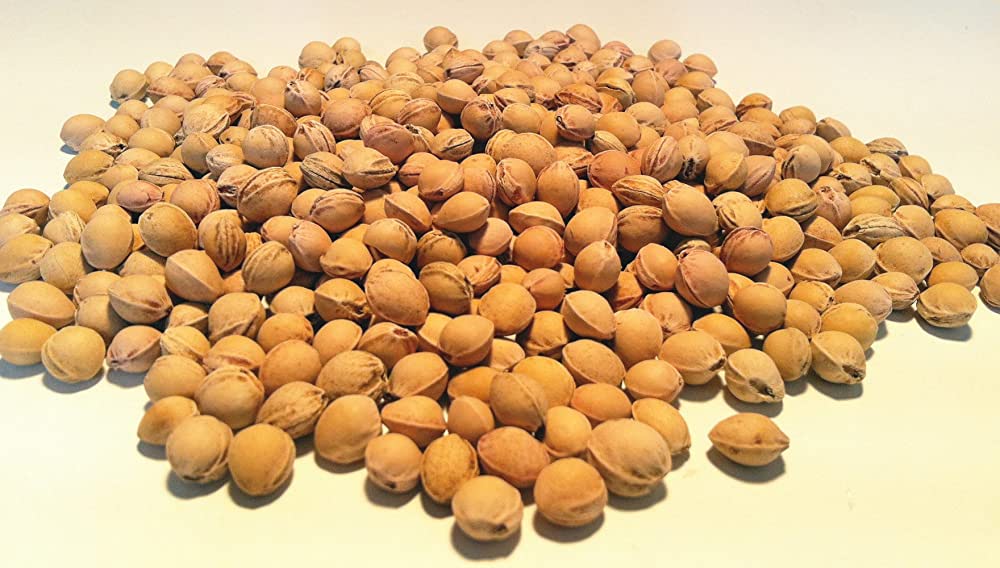 81fxx1lnt-l-ac-uf10001000-ql80