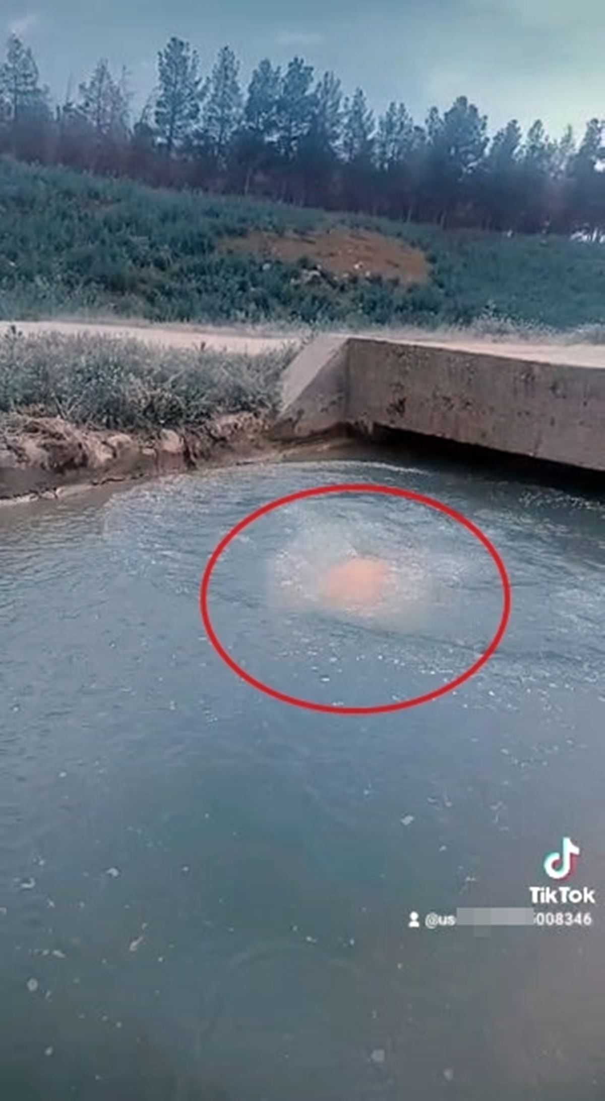 tiktok-videosu-cekerken-oldu-4