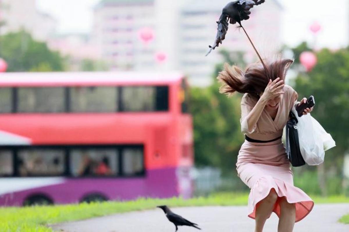 kargalar-neden-insana-saldirir