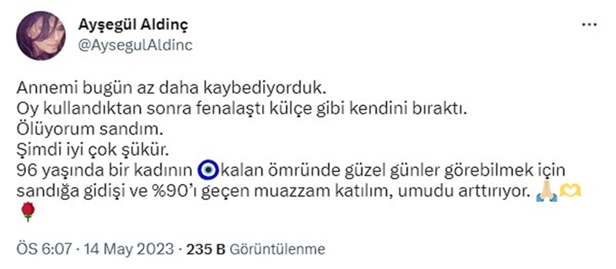 aysegul-aldinc-twitter
