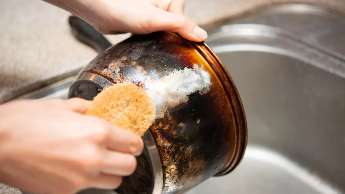 63b2bd33e4bfdd3b48a489bd