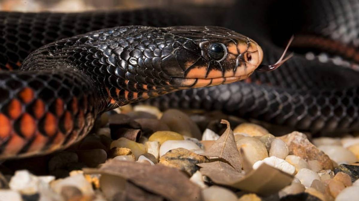 hjhjhj-2023-05-20t111424-161