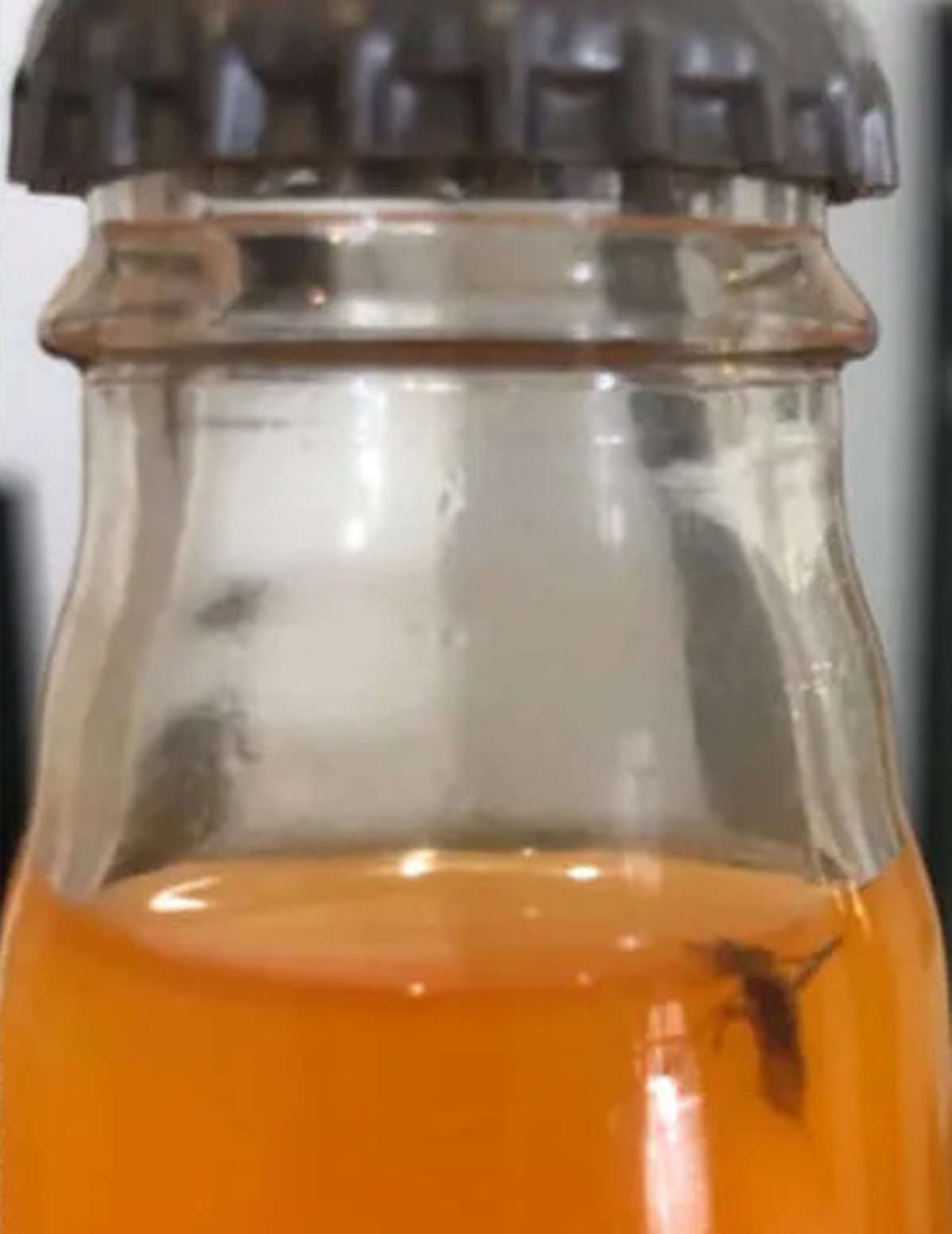 gazoz-sisesinden-sinek-cikti-2