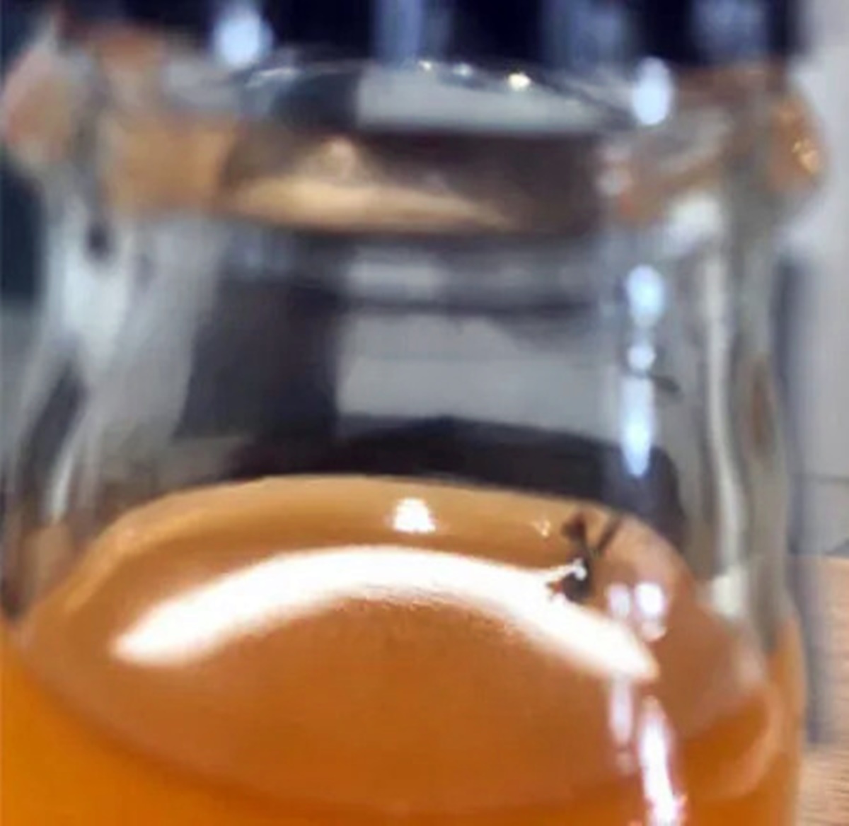 gazoz-sisesinden-sinek-cikti-3