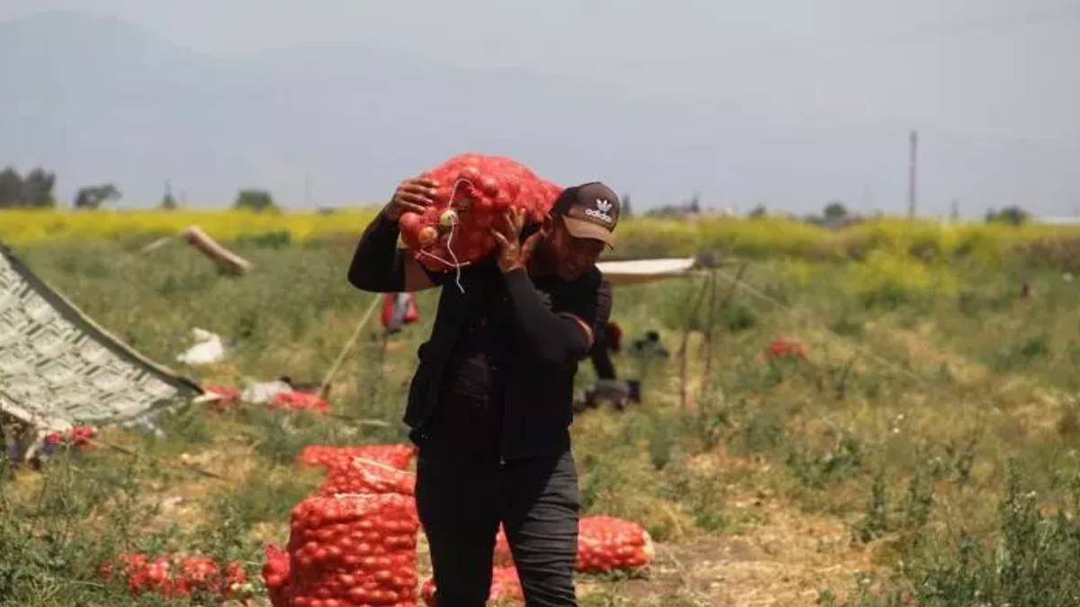 gfgfgf-2023-05-23t132254-941