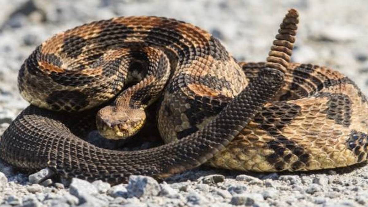 hjhjhj-2023-05-23t114622-455