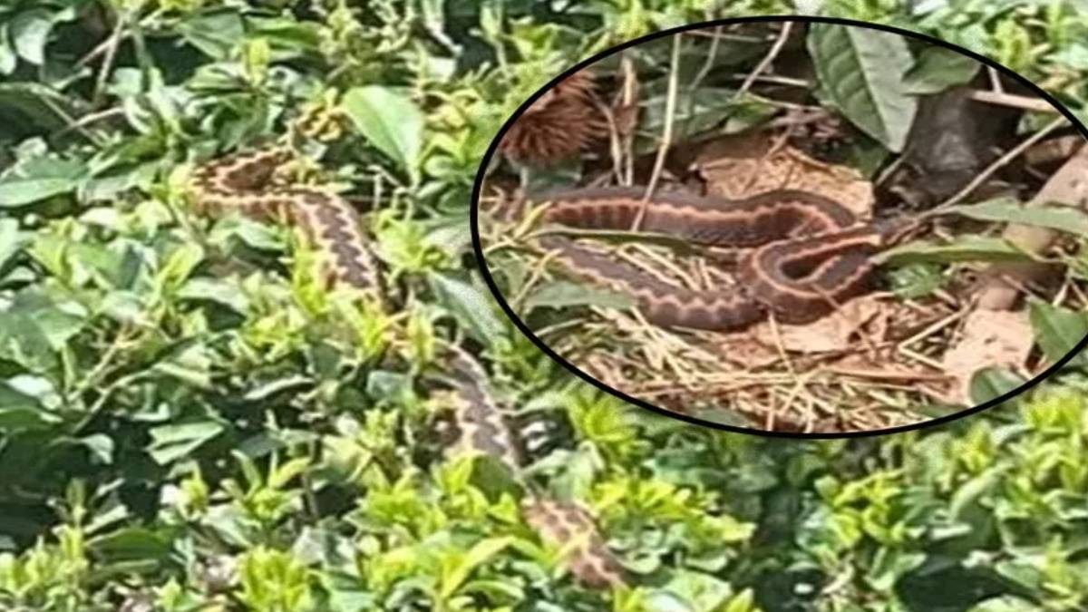 hjhjhj-2023-05-24t140102-121