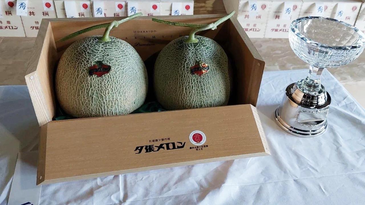 japan-melon-ih-1845553