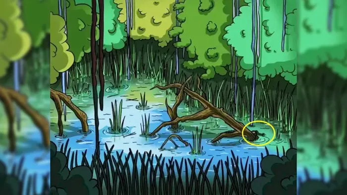 bursasporluoptikillz-240520239d887b2c