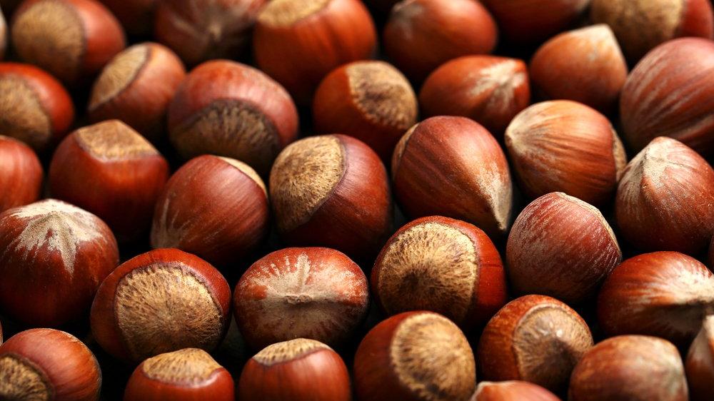 shutterstock-750914803-16-9-1583056410