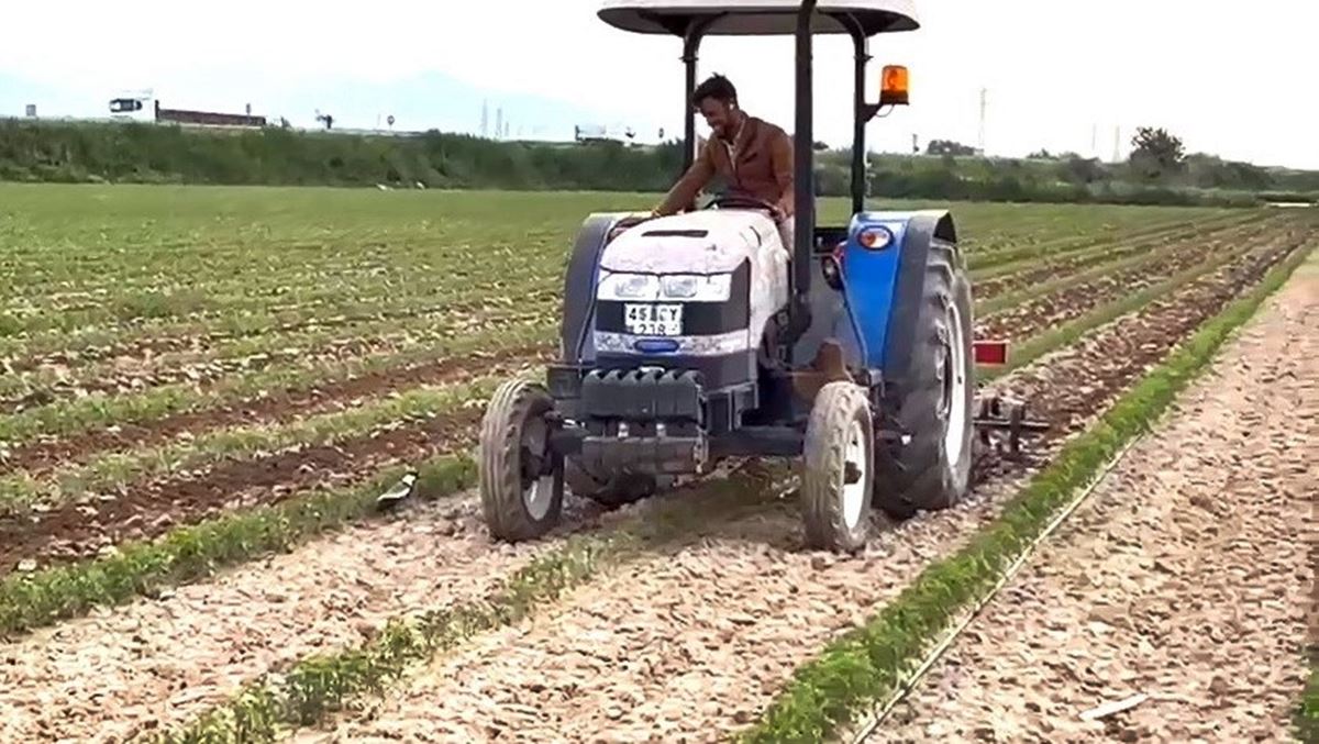 yuvasini-koruyan-kus-2