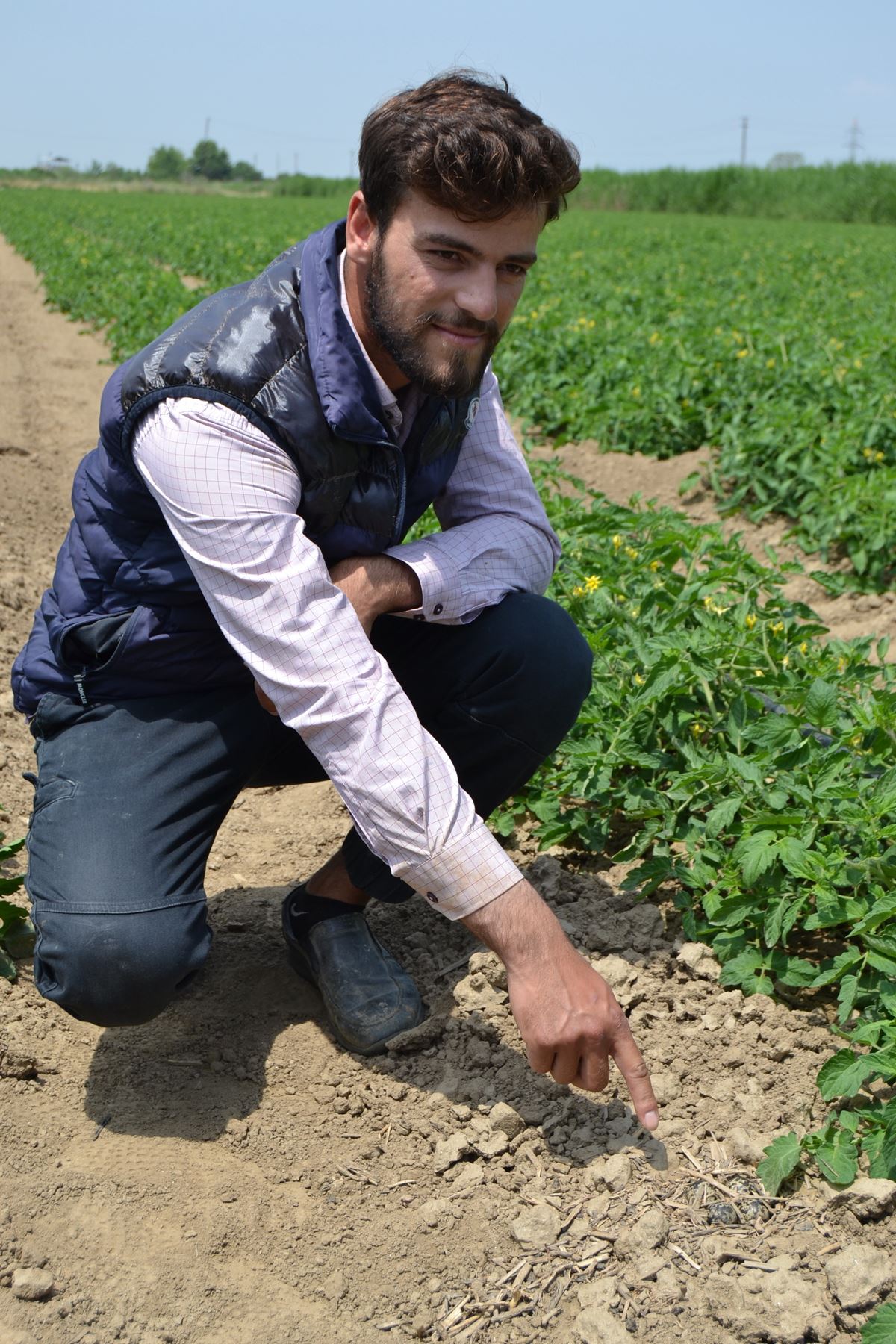 yuvasini-koruyan-kus-6