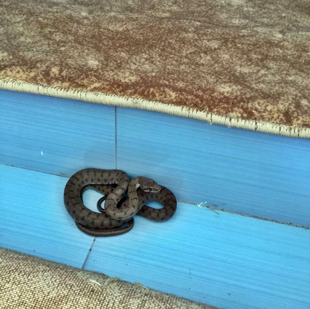 en-cok-yilan-olan-iller-2