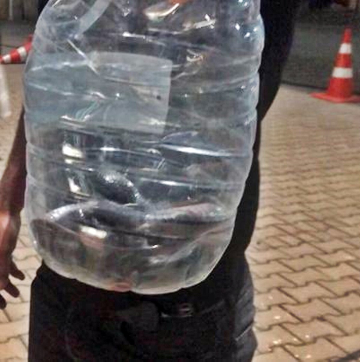 en-cok-yilan-olan-iller-3