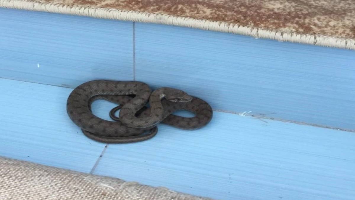 gfgfgf-2023-05-28t120721-138