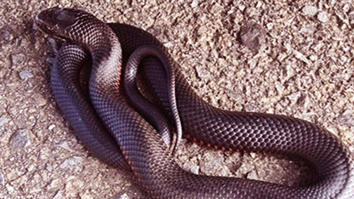 hghghg-2023-05-30t135604-299