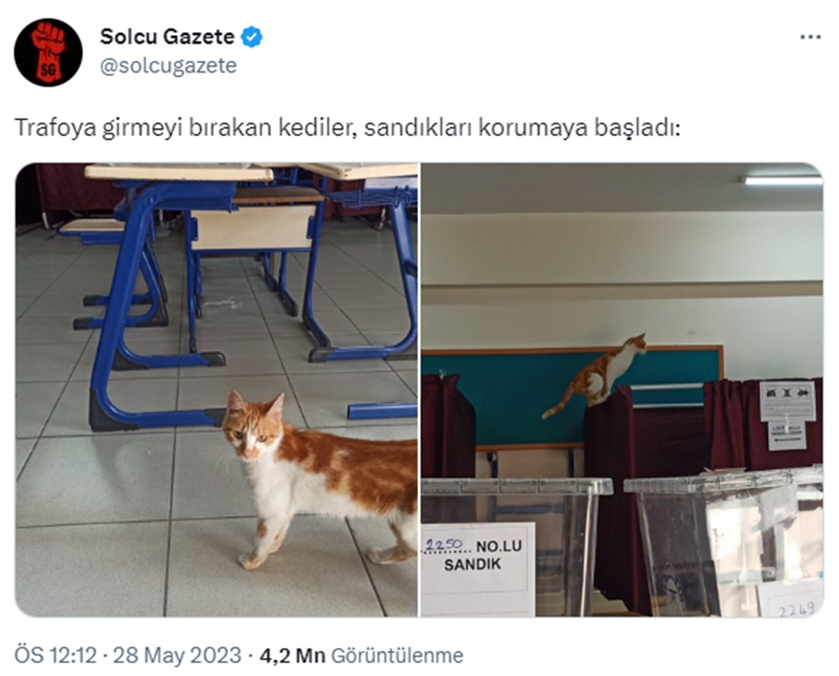 oy-vermeye-hayvanlariyla-gittiler-2