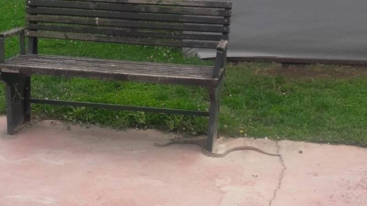 ghghgh-2023-05-31t111337-285