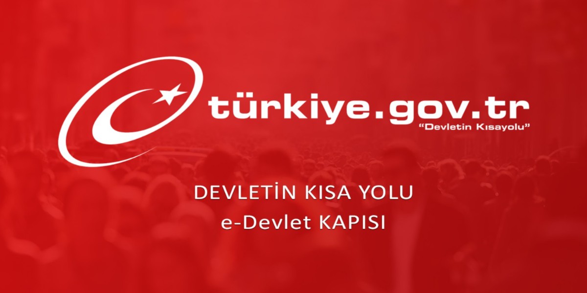 e devlet