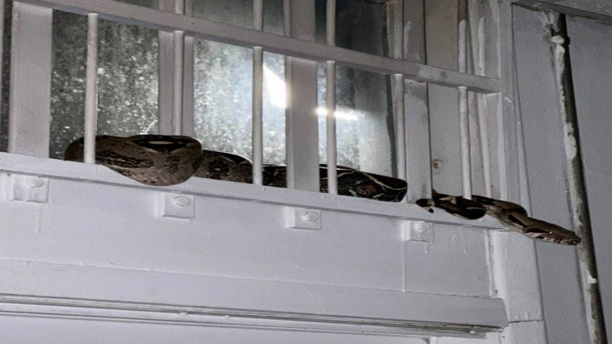 ghghgh-2023-06-01t115656-957