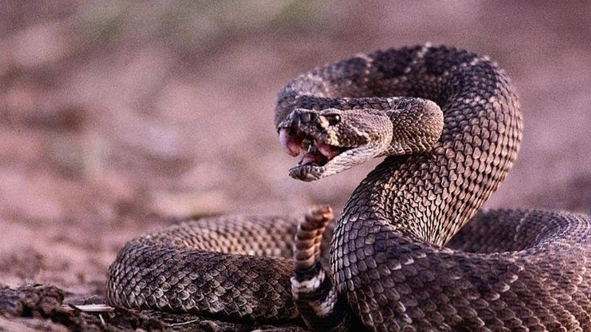 gfgfgf-2023-06-02t113025-288