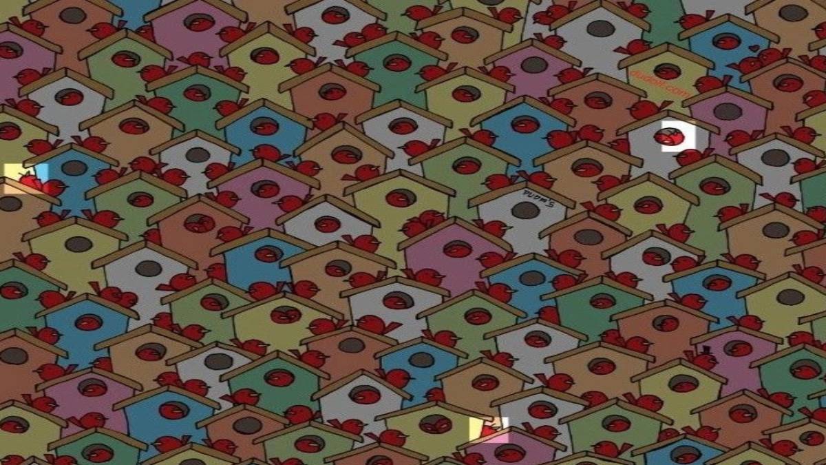 gfgfgf-2023-06-03t150319-379