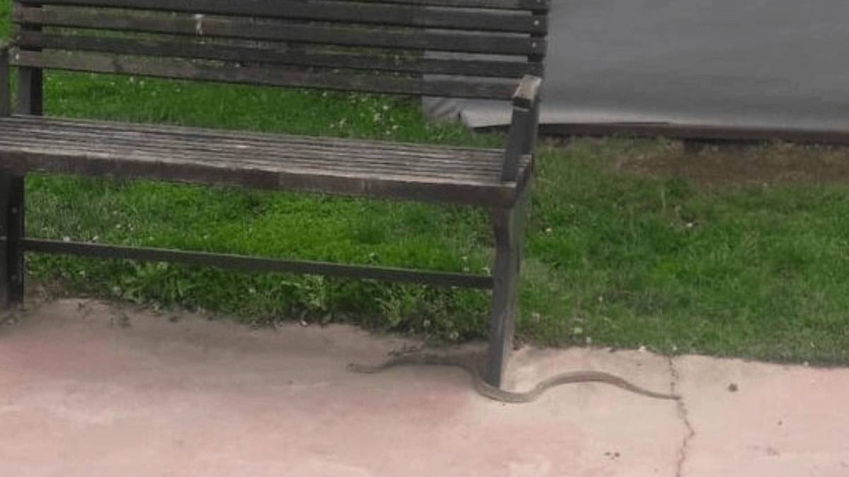 ghghgh-2023-06-03t110344-188