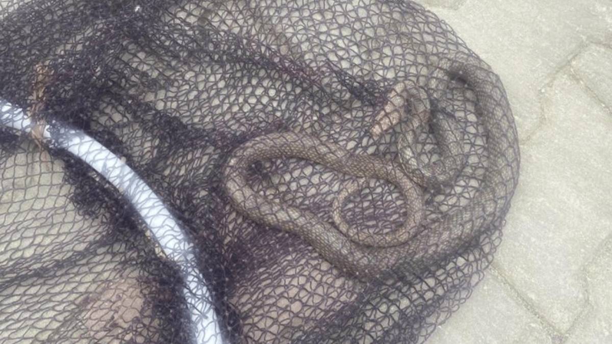 ghhghg-2023-06-03t110328-459