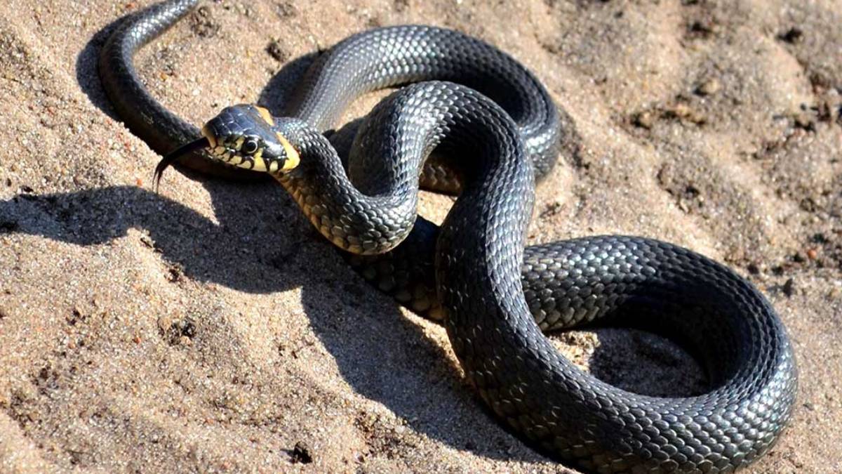 gfgfgf-2023-06-04t092542-887