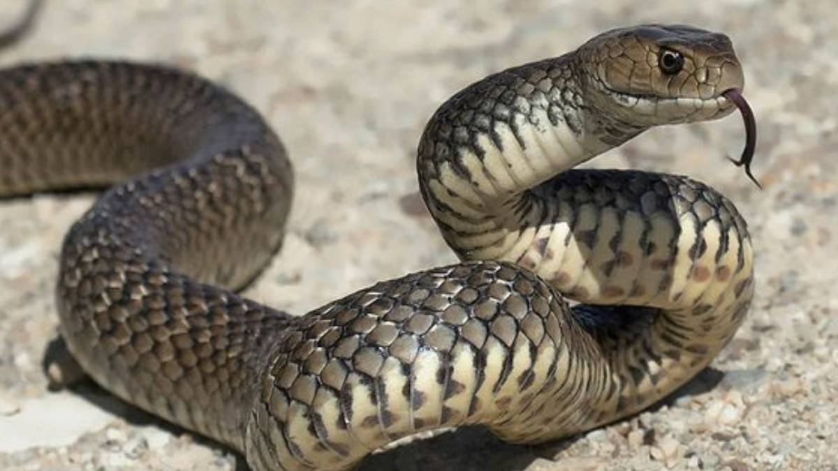 gfgfgf-2023-06-04t094140-711