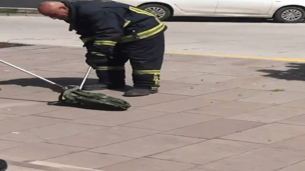 gfgfgf-2023-06-04t103101-347