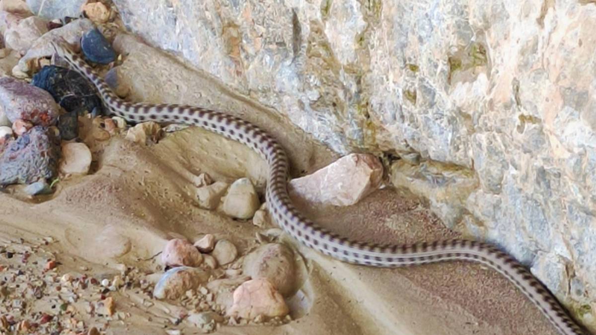 gfgfgf-2023-06-04t113511-382