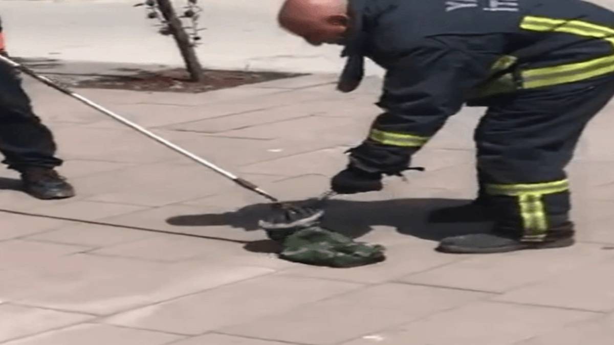 ghghgh-2023-06-04t103116-020