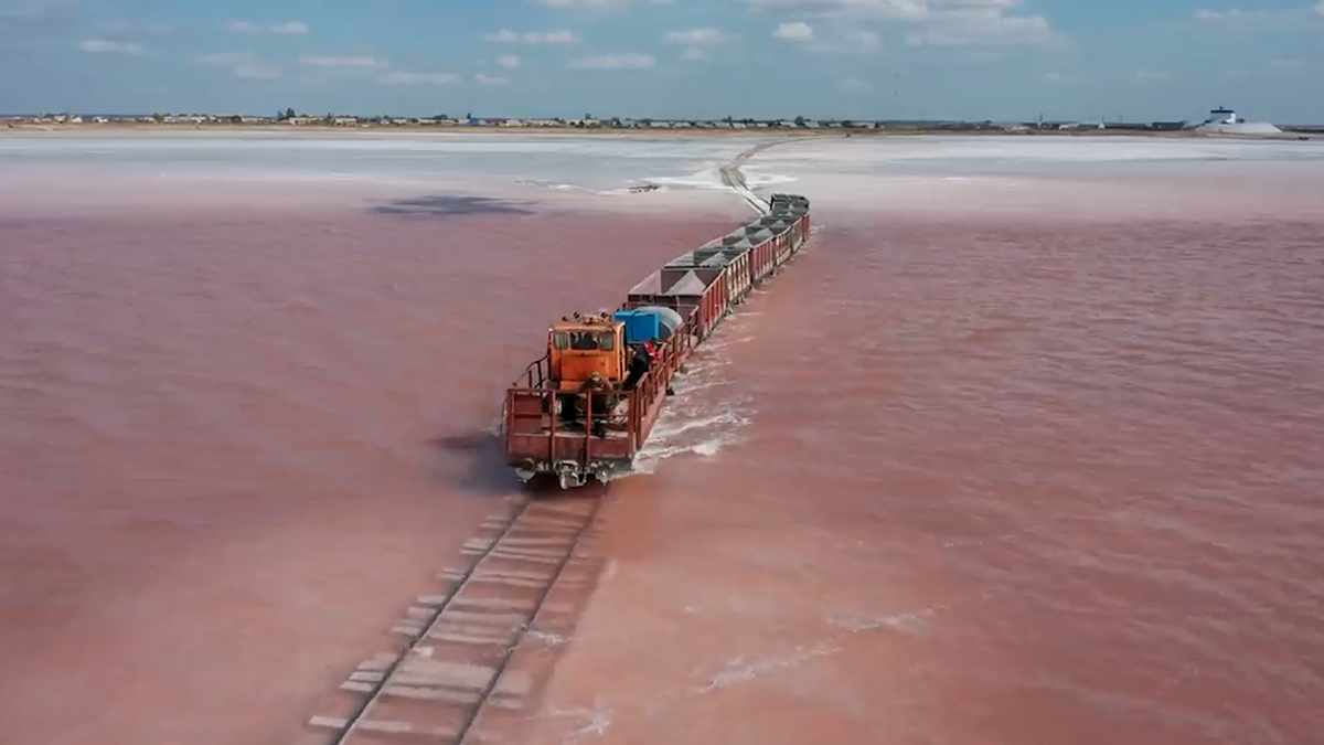 sibirya-pembe-gol-gorenleri-buyuledi