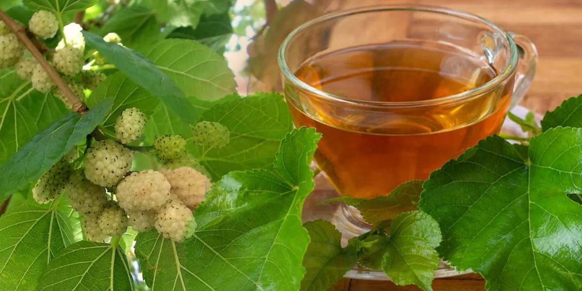 dut yaprağı faydalaro