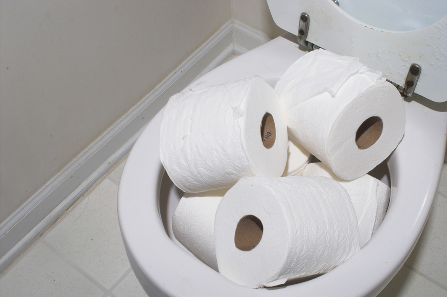 toilet-paper-overflow-2128246
