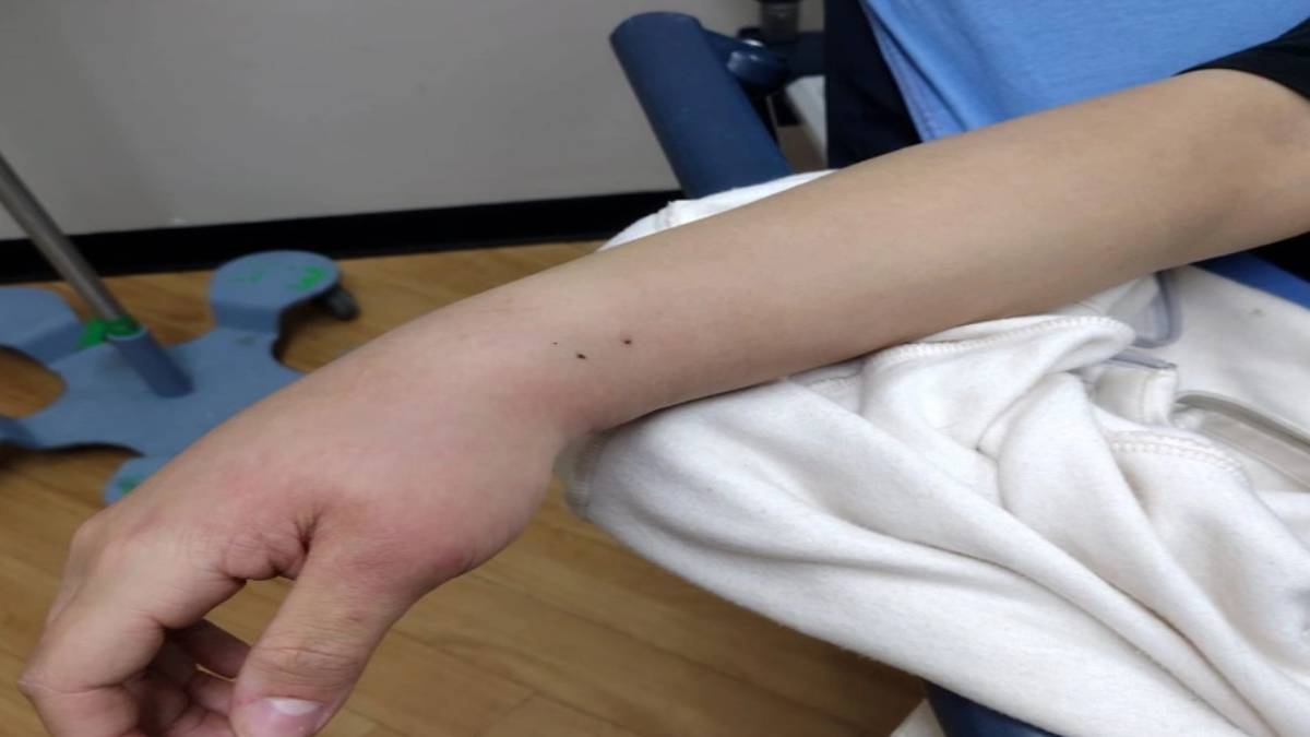 ghghgh-2023-06-06t131904-611