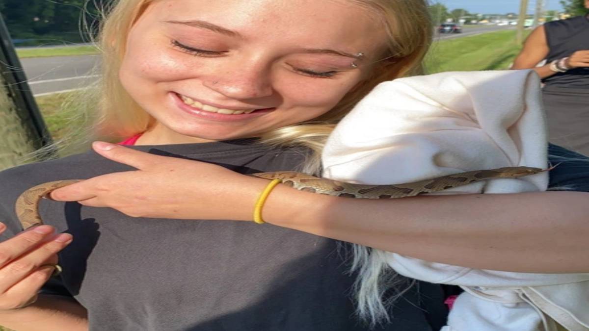 ghghgh-2023-06-06t131935-910