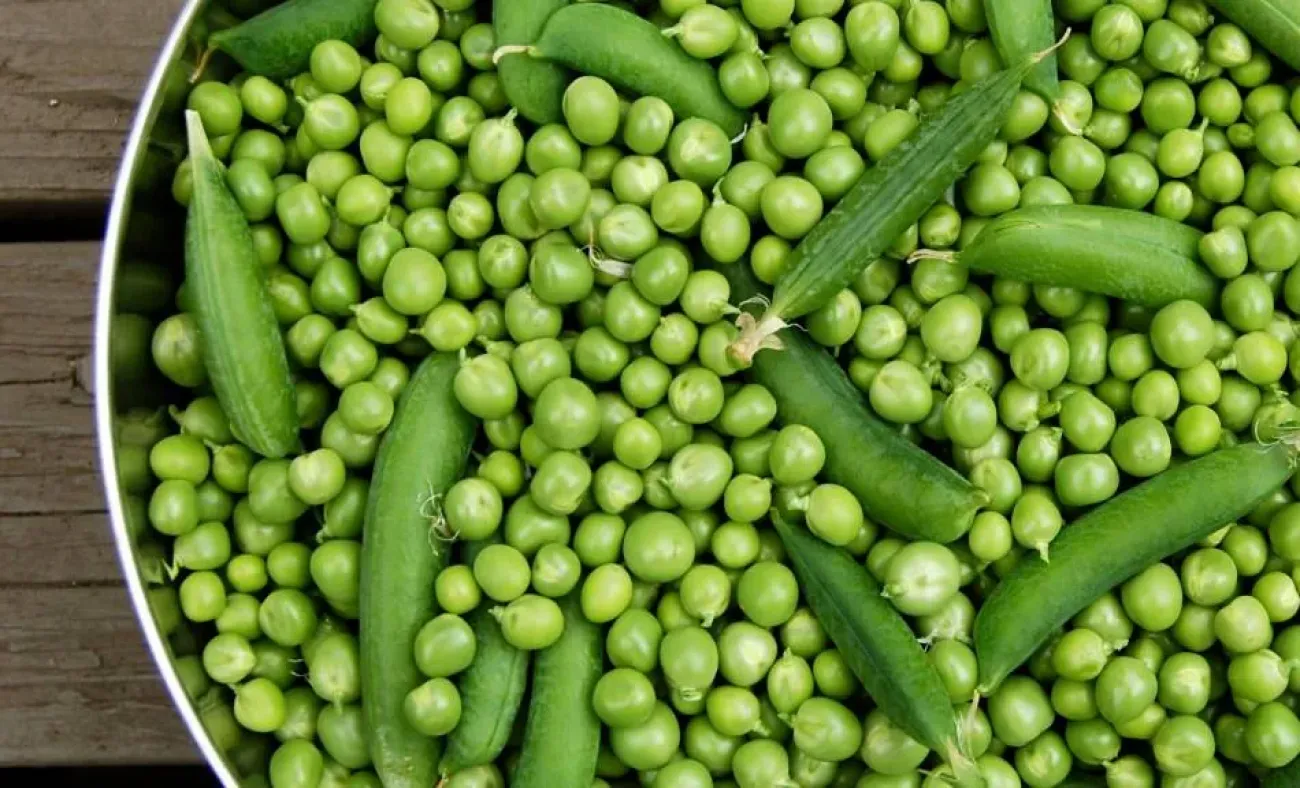 bezelyenin-faydalari-nelerdir-bezelye-hangi-hastaliklara-iyi-gelir-1571746598-9224