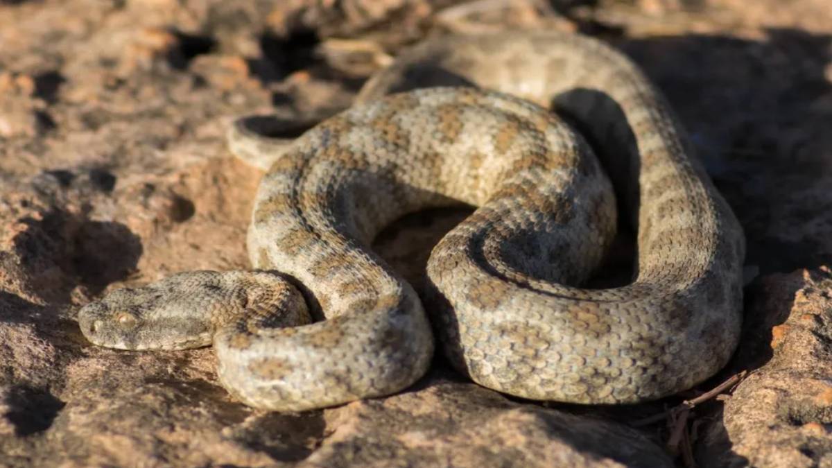 gfgfgf-2023-06-07t105137-142