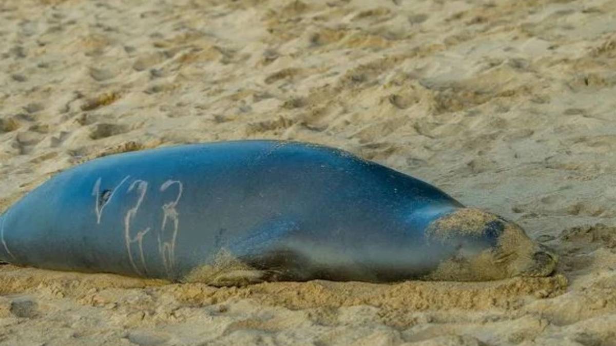 gfgfgf-2023-06-08t124450-339