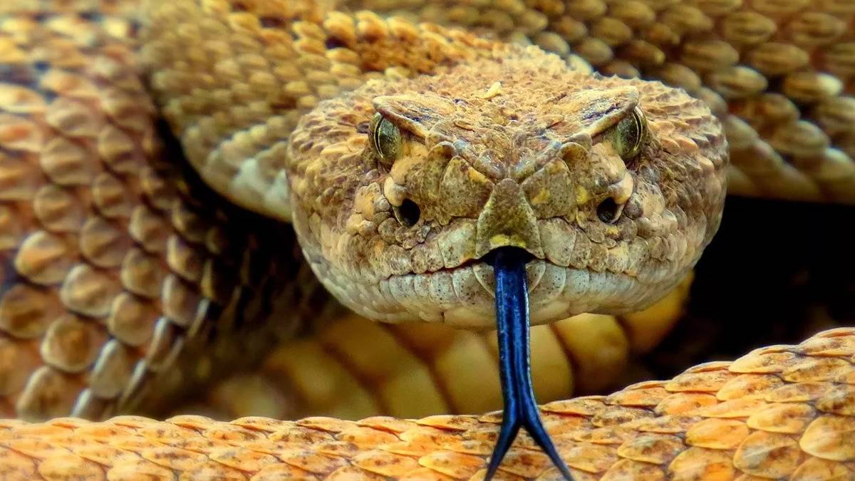 ghghgh-2023-06-09t133029-385