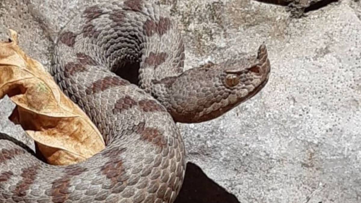 gfgfgf-2023-06-10t110359-690