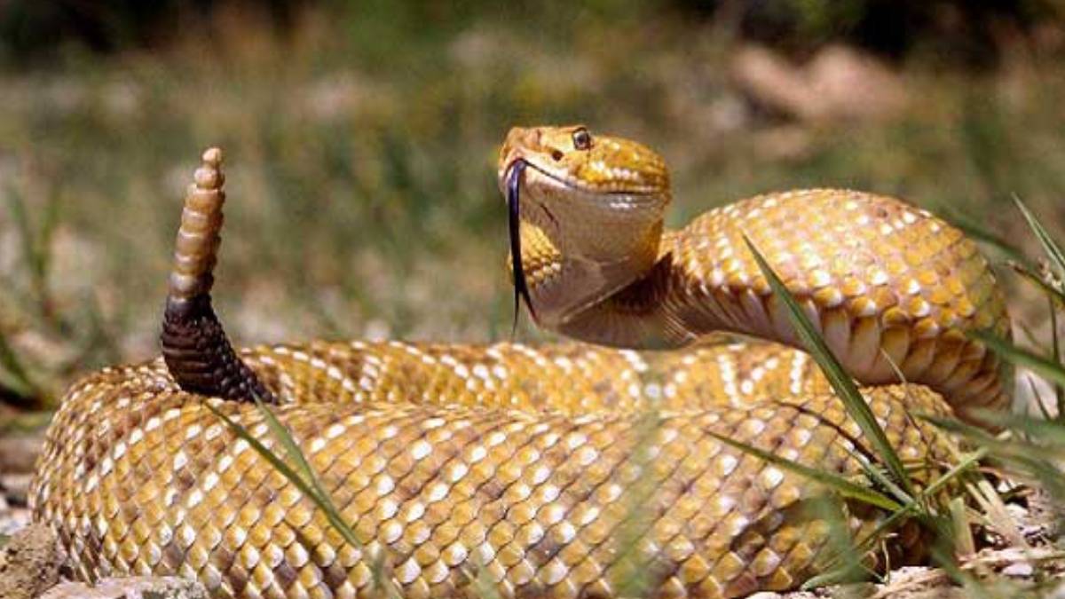 hjhjhj-2023-06-10t101346-000