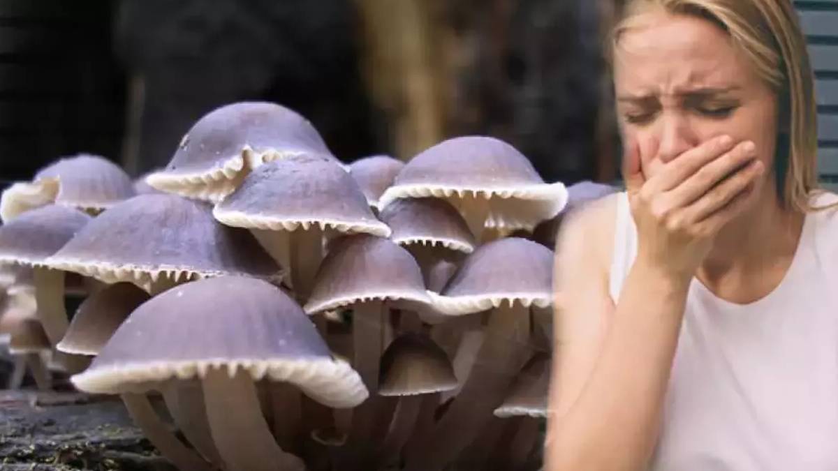 ghghgh-2023-06-14t103154-541